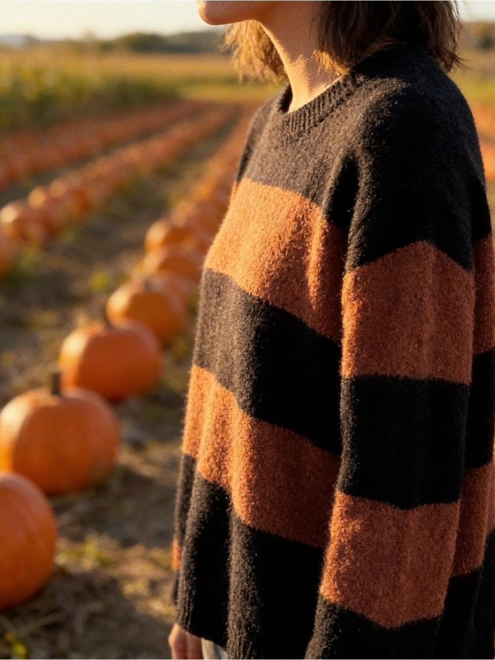 Worthington Black Rust Striped Cozy Sweater Size Large Fall Farmhouse Halloween